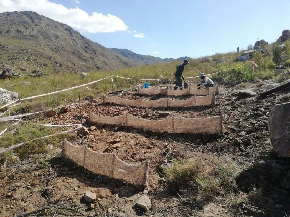 Environmental Management